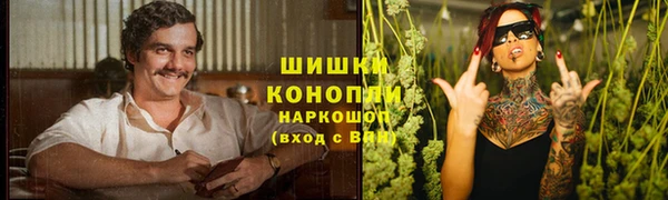 каннабис Богданович