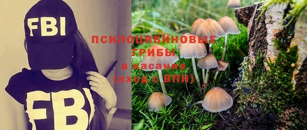 прущий лед Богородск